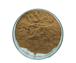 Extracto Seco de Paederia Foetida Gandha Prasarni a Granel, Extracto Botánico Premium, Fabricante, Proveedor y Exportador de la India - Product Image 2