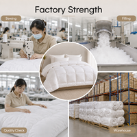 Couette Blanche Taille Personnalisée pour Hôtels, Toutes Saisons (Été, Hiver), Direct Usine, Fournisseur Exportateur