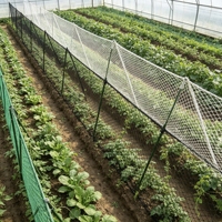 Livraison rapide, favori des revendeurs, écologique et sûr, panneau de support à longue portée en forme de FF, filet de support pour plantes blanc pour papaye, facile à nettoyer, Danemark