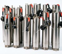 Motor Submersible 150mm 22kW 30HP 3 Fasa 460V 60Hz Efisiensi Tinggi Berpendingin Oli, Pengganti Motor Pompa Air untuk Shakti