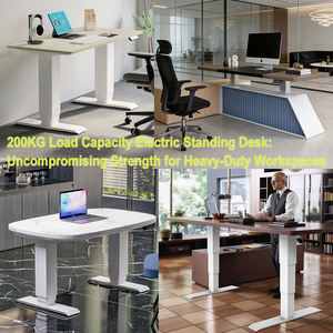 Escritorio Elevable Eléctrico Moderno de Alta Resistencia, 200 kg, Estructura de Acero, 3 Etapas, Motor Dual, para Oficina en Casa, 1900*800 mm - Product Image 2