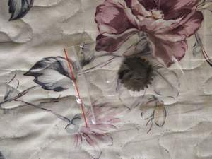 Pièce de rechange pour minilab Noritsu LP24 PRO, engrenage à 22 <span class=keywords><strong>dents</strong></span>. 20303062 20303062-00 / H153066 H153066-00 - Product Image 5