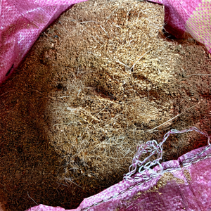 เม็ดมะพร้าวอินทรีย์สีน้ำตาลอ่อน วัสดุปลูกจากใยมะพร้าวธรรมชาติ สำหรับเพาะเมล็ดและปลูกพืช AGRI ในเวียดนาม - Product Image 1