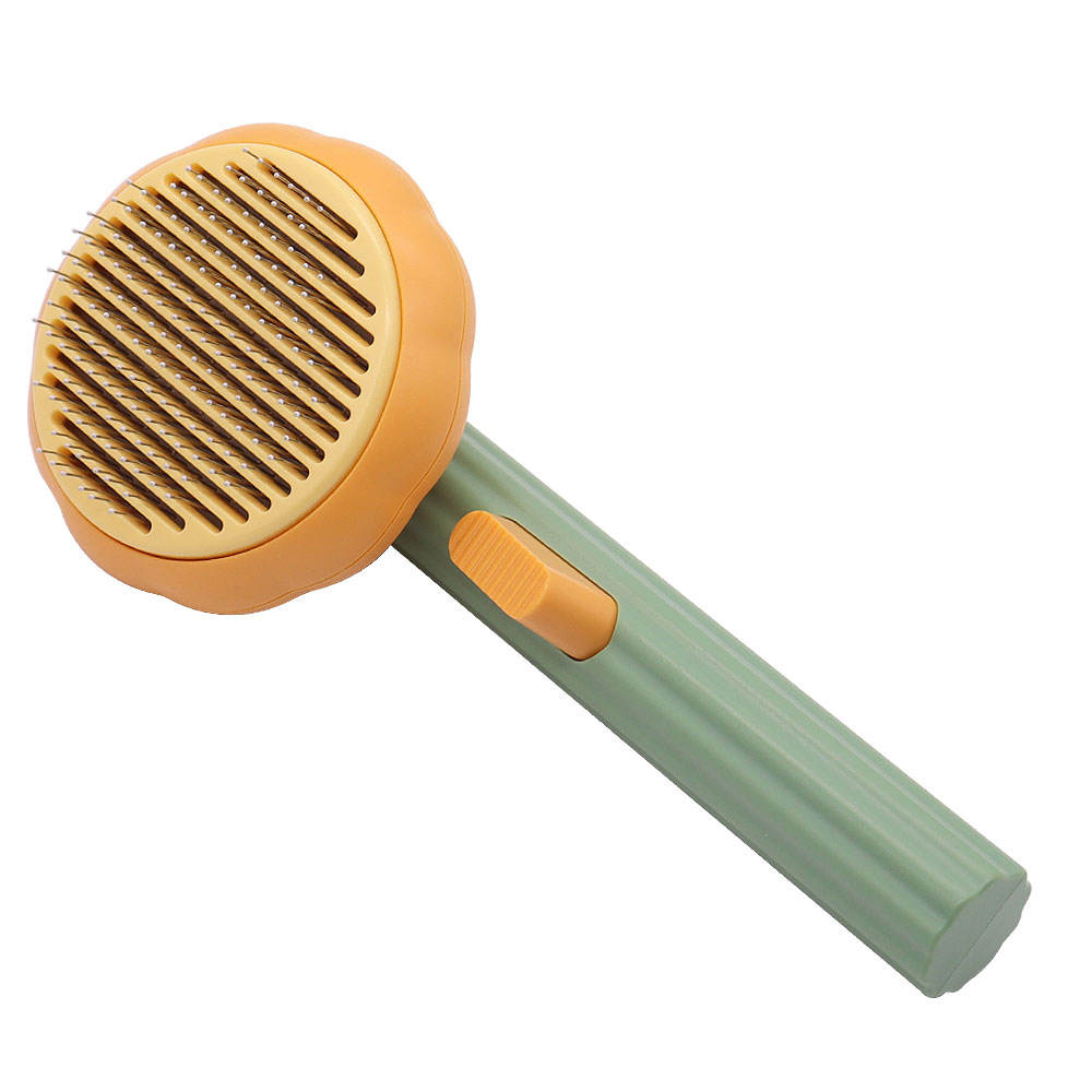 สีฟักทอง