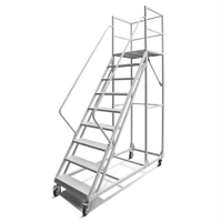 Échelle à marches roulante en acier portable avec 4 roues, plateforme mobile pour utilisation en extérieur, entrepôt, supermarché, certifiée EN131