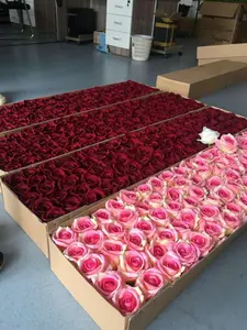 10cm artificial seda veludo rosa cabeças flor para decoração do casamento