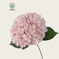 Simulasi 3D Bunga Hydrangea Buatan Tangan dari Sutra Artifisial untuk Pernikahan, Tahan Lama, Modern, Wisuda, Halloween, Hotel, Hari Valentine