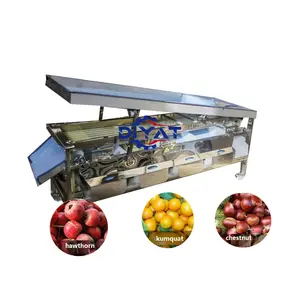 易于操作的橄榄橙分级机草莓番茄马铃薯樱桃水果分选机蔬菜加工厂