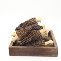 Morilles Noires Séchées Sauvages - Morchella Esculenta Séchée - Colmenillas - Prix Frais Morcheln