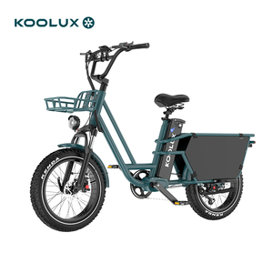 รถสามล้อไฟฟ้า KOOLUX EU Compliant X7 PRO แบตเตอรี่ลิเธียม 48V25Ah โครงขนาด 20 นิ้ว 250W รับน้ำหนัก 150 กก. สำหรับส่งอาหารในเมือง - Product Image 4