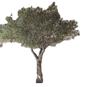 Tùy chỉnh 1.5m nhân tạo Cây Ô Liu sợi thủy tinh/sàn nhựa cho văn phòng trang trí tự nhiên cái nhìn phục sinh dịp - Product Image 4