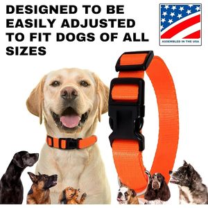 ปลอกคอสุนัขแบบปรับได้ Gracie To The Rescue รุ่นทดแทน สีแดง ทำจากไนลอน สำหรับฝึกสุนัข - Product Image 5