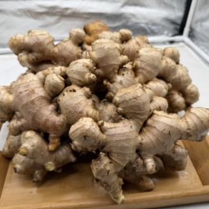 Produit d'exportation de haute qualité, gingembre frais de nouvelle récolte en gros, fournisseur chinois de gingembre frais - Product Image 1
