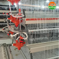 Équipement de ferme avicole un type 4 niveaux 160 oiseaux batterie cage à poulets pour poules pondeuses