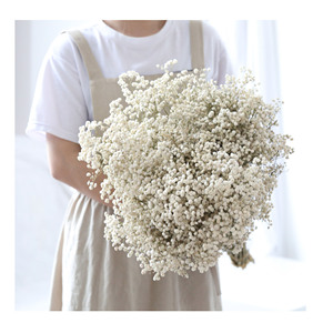 Flor de Gypsophila Natural Preservada de Larga Duración para Decoración - Product Image 2