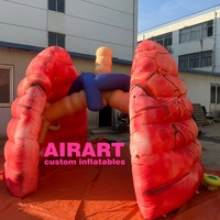 Poumon Gonflable Poumon Usage Médical Gonflable Organe Humain Offre Spéciale Poumon Gonflables