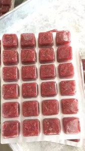 Высококачественные замороженные кровные черви (красные черви, красные нематоды) для продажи, замороженный корм для рыб - Product Image 2