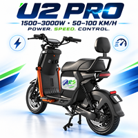 Vélo Électrique U2 Pro pour le Marché Russe, Moteur 3000W, Batterie au Lithium, Double Suspension, Longue Autonomie, GPS, Véhicule Personnalisé, Fournisseur d'Usine