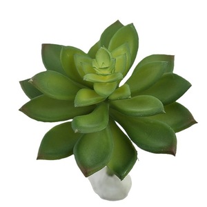 Pilihan sukulen buatan Mini, berbagai jenis sukulen imitasi tanpa pot, dekorasi rumah pengaturan bunga Agave Echeveria - Product Image 3