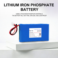 Batterie LiFePO4 OEM 24V 5Ah 1000 cycles avec BMS CE UN38.3 pour équipement audio numérique professionnel Hi-Fi haut de gamme