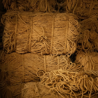 Bloc de fibres de coco naturelles biodégradables à haute rétention d'eau, respectueux de l'environnement, pour la culture des plantes