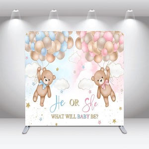 Sfondo Fotografico Personalizzabile per Rivelazione del Sesso del Bambino, Rosa e Blu, con Arco, Doppio Lato - Product Image 5