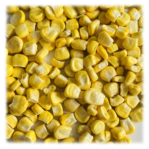 Porcellana naturale vegetale giallo dolce mais intero liofilizzato e mais sfuso 5% umidità massima 18 mesi di durata - Product Image 5