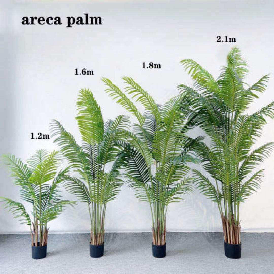 palmier arec vert 210cm
