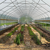 Serre tunnel agricole 6x12m à structure métallique gothique, serre polytunnel en polycarbonate pour fleurs