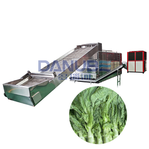 Quality Certification Mesh Belt Lettuce Dryer Lettuce Washing and Drying Machine Vegetable Drying Machine - Product Image 1