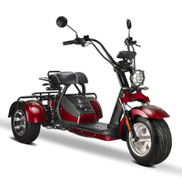Tricycle électrique puissant Loyal 4000W, moteur performant, flexible, de haute qualité, scooter électrique à 3 roues