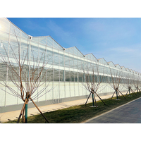 Venlo type polycarbonaat plaat voor kassen