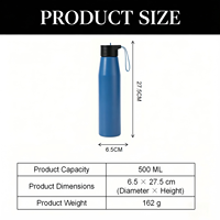Bouteilles isothermes de luxe en acier inoxydable de 500 ml pour le sport et la gym, écologiques, vierges, pour la vente en gros
