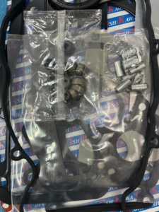 Engine <b>Gasket</b> Kit for Peugeot W9 Oshikawa <b>Gasket</b> Factory in Thailand - Product Image 2