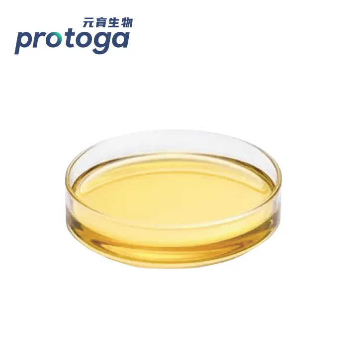 Protoga meilleur prix en gros sain Schizochytrium Extraction Pure DHA mcroalgea Oil