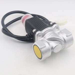 Chất Lượng Tuyệt Vời Hợp Kim Đồng Giá Rẻ Khí Tự Nhiên Van Điện Từ - Product Image 5