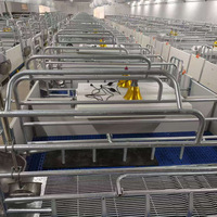 Enclos de maternité moderne en PVC pour porcs, double/simple, pour truies et porcelets