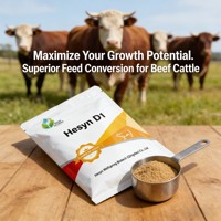 KFY1(pro) Additifs Alimentaires Composés Suppléments Spéciaux pour Ruminants 50 000 U/g Activité enzymatique Poudre Fermentée Brun-jaunâtre pH