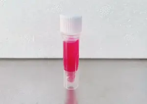 Solarbio high quality 1ml 5ml 100ml PCR Master Mix, con tintura rossa