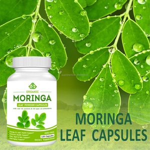 Capsules de feuilles et de poudre de Moringa Oleifera biologiques OEM pour le soutien immunitaire des adultes, 60 unités - Product Image 4