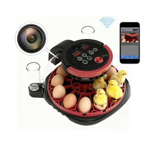 Inkubator dan penetas telur ayam otomatis mini dengan kamera, suhu konstan visual cerdas - Product Image 1