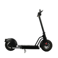 2023 1000W moteur sans balais 48v certificat ce gros pneu cadre en acier 14 pouces BIHONG scooter électrique