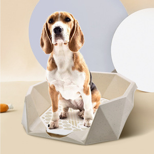 Raccoglitore di Escrementi per Cani Ecologico e Portatile in Plastica per Grandi Spazi Interni/Esterni - Product Image 4