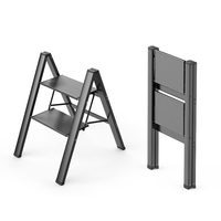 Chaise-échelle pliante en aluminium champagne, capacité de charge 150 kg, épaisseur 1,2 mm, certifiée EN131, 2 marches, légère, pour atelier