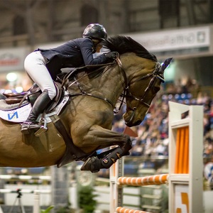 Equestrian Equipment Set Metal Frames Adjustable Height Durable Direct From Factory Horse Fast Delivery <strong>Show</strong> <strong>Jumps</strong> - Product Image 5