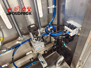 Solidpack 2 Başlıklı Otomatik Fıstık Zeytin Yemeklik Yağ Dolum Makinesi - Product Image 6