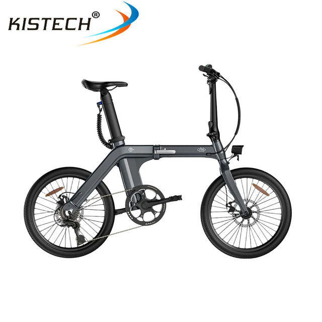 Fiido D11-2025 Folding Electric Bike With 20inch Wheel 250W Motor 36V 11.6Ah Battery Toquer Sensor Hydraulic Disc Brake Ebike