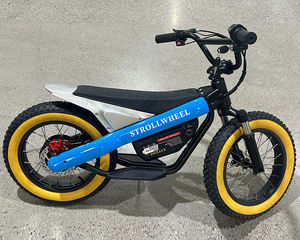 Vélo de <span class=keywords><strong>route</strong></span> électrique 800w 36v gros pneu vélo électrique spécialisé mini vélo de ville électrique 16 pouces hors <span class=keywords><strong>route</strong></span> vélo - Product Image 4