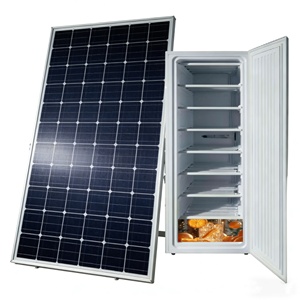 Congélateur vertical de qualité supérieure du marché sénégalais, 298 litres, avec 8 étages pour la fabrication de glace et le stockage du poisson, pour usage commercial - Product Image 1