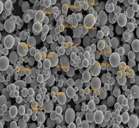 Spot fournit de la poudre d'argent pur conducteur de haute qualité Micron Spherical Silver Ag Powder